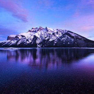 Meet your Posher, Alberica